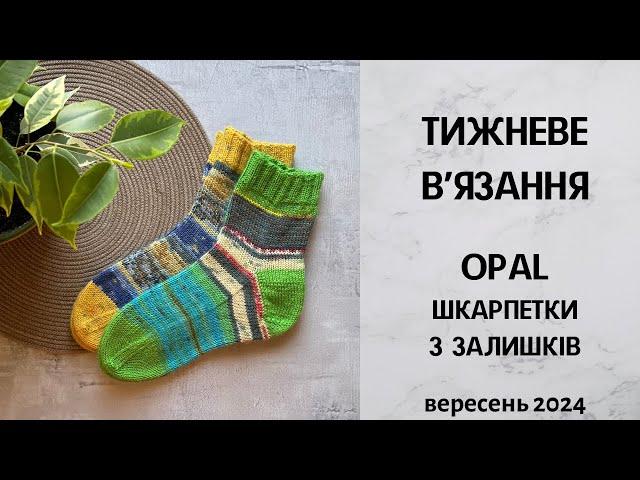 Тижневе в'язання. Opal, шкарпетки з залишків. Вересень 2024