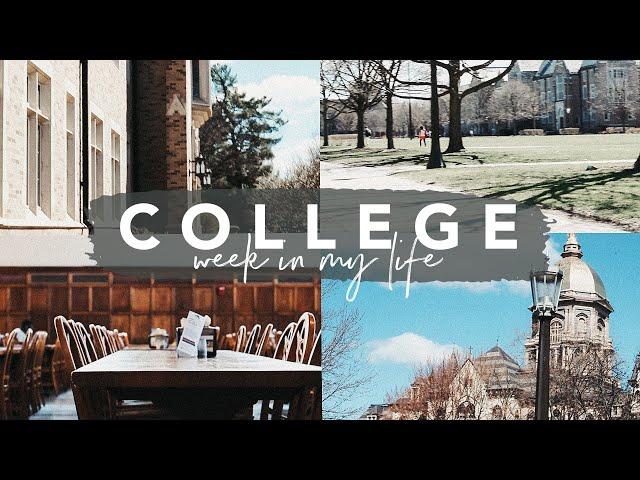 College Week in My Life | University of Notre Dame // Malia K. Reed