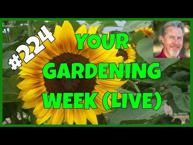 Making Good Garden Soil (Q&A)