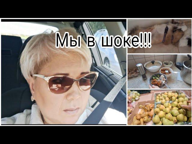 Закупаемся* Мы в шоке... Германия для богатых? Налоговая 1700 евро  доплатить?!* наш ужин *