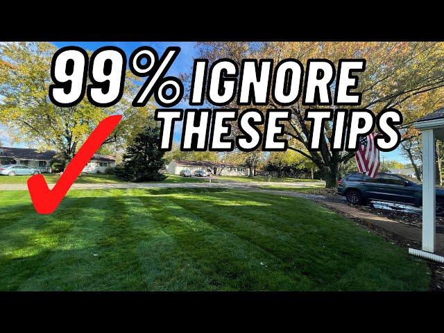 I regret not understanding these tips about lawn care