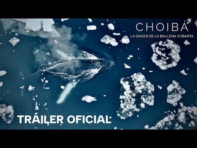 CHOIBÁ: LA DANZA DE LA BALLENA YUBARTA - Tráiler Oficial