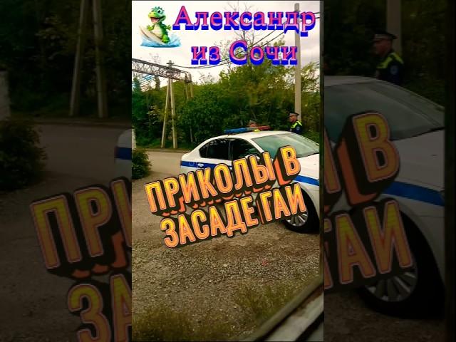 Дорожный патруль пародия#animals #юмор #пародия #прикол #смех  #ржака #смешнойшортс #угар .