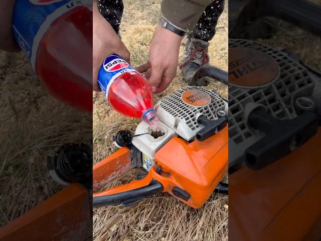 PEPSI STIHL - MS 250