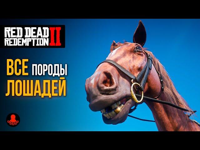 ГДЕ НАЙТИ ВСЕХ ЛОШАДЕЙ в Red Dead Redemption 2 | RDR2