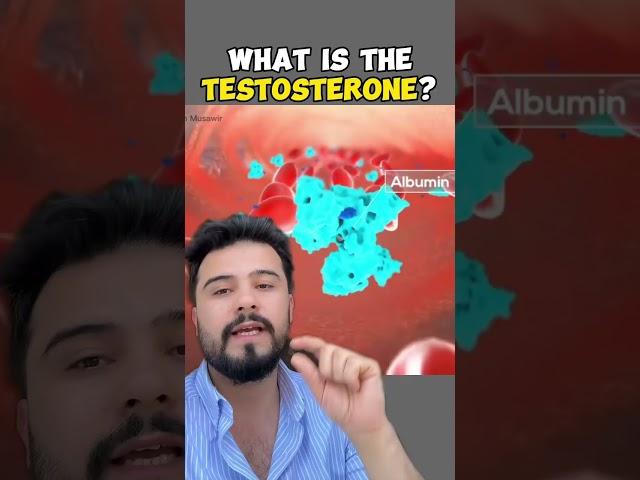 تسترون چه است ؟
