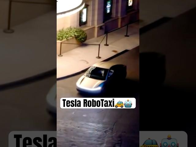 Tesla Unveiled the RoboTaxi and More! 