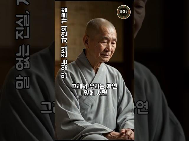 말없는 진실 #법륜스님 #불교 #부처님 #법문 #인생조언 #명언 #삶의지혜 #마음공부 #힐링 #편안한 #성공 #중년삶 #인간관계 #자존감 #즉문즉설 #철학 #고전지혜 #말씀