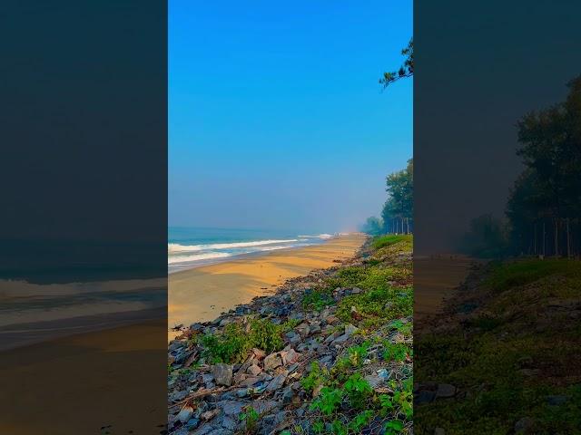 Nature therapy️ #nature #travelwithjo #travel #maharashtra #beach #relaxing #travellife #shorts