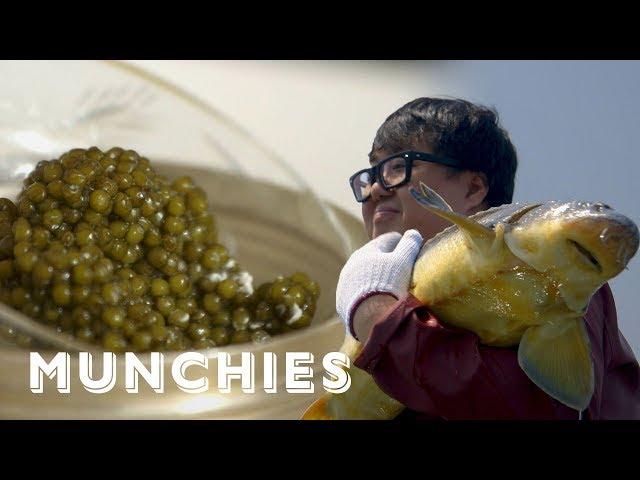 The World's Best Caviar, Now Made in China: MUNCHIES Presents