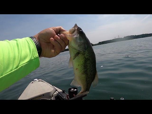 Fort Loudoun/Tellico TNKATT - Fish were caught!