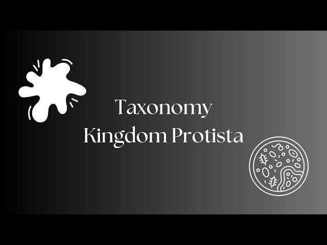 Taxonomy Kingdom Protista