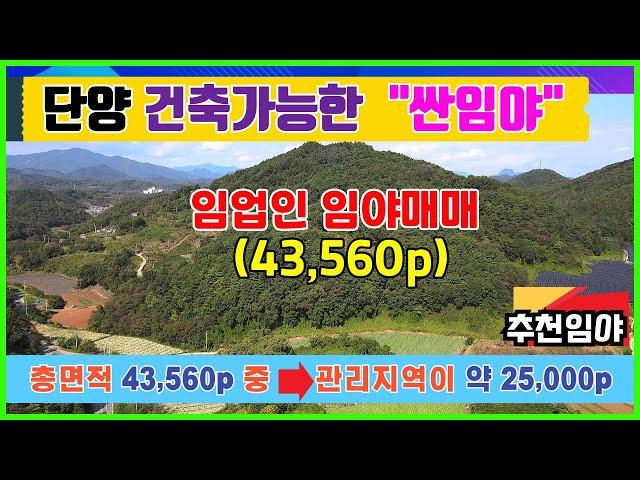 임업인임야매매 단양싼임야 ▶43,560p 농림지역과 보전관리지역 건축가능한 임야매매 임업용산지 준보전산지