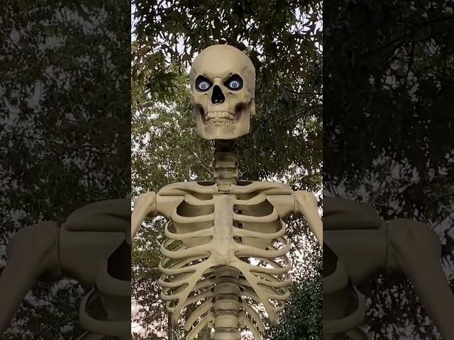 Huge 12 ft Skeleton from Home Depot Halloween 2022 #shorts