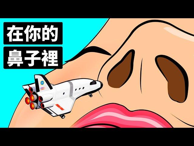 進入你的鼻子一遊，來看看嗅覺是如何運作的