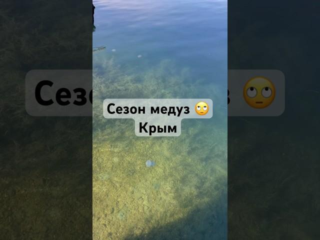 Озеро ДОНУЗЛАВ.Крым️октябрь 2023. #shortsvideo #крым2023 #крымсегодня #крымскиймост