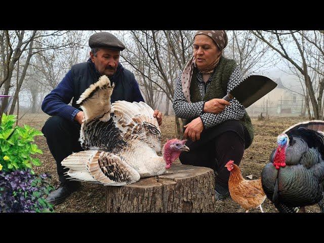 Countryside Turkey Pilaf on the Campfire 