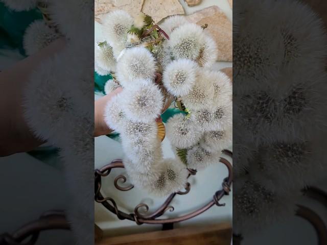 Композиция из одуванчиков #цветы #одуванчики #одуванчик #люблюцветы #флористика #эксперимент #diy