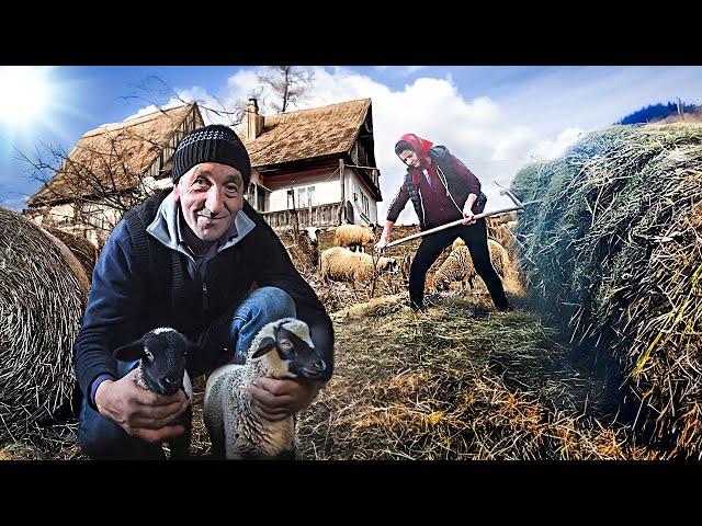 A COUPLE'S HARD LIFE IN A MOUNTAIN VILLAGE