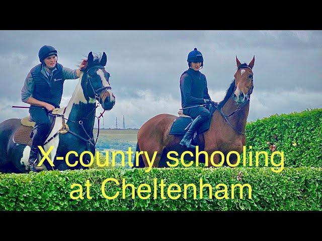 Training Racehorses over cross country fences at Cheltenham.