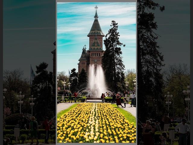 Street Photography through Timisoara 278