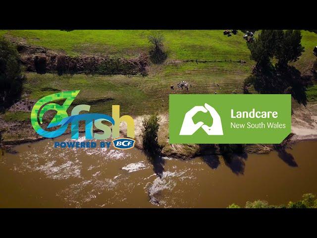 River Restoration At Its Best (OzFish + Landcare NSW Partnership).