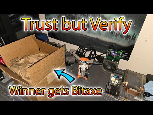 Double Checking #bitaxe for Giveaway winner