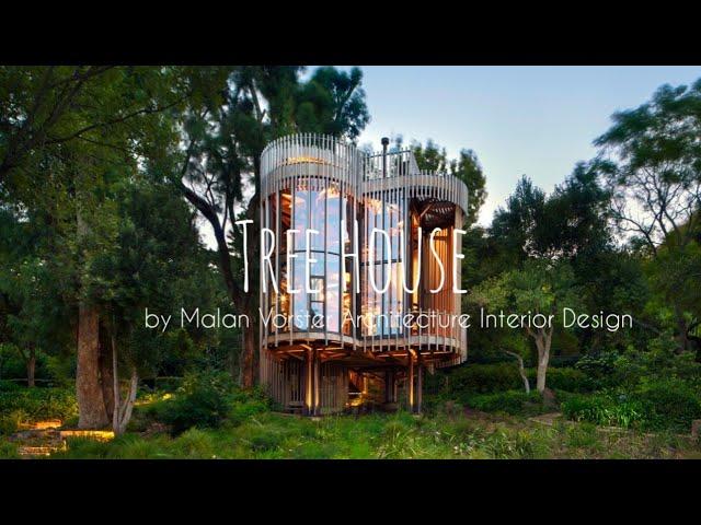 contemporary Tree house maximize natural views around big trees