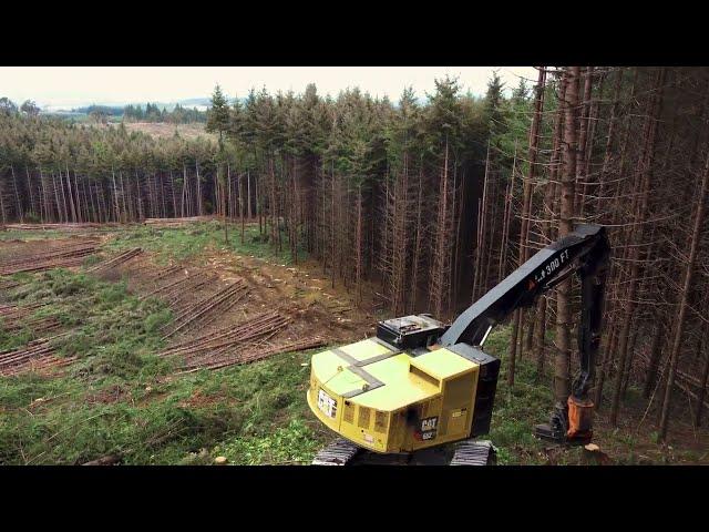 Western Oregon Shovel Logging