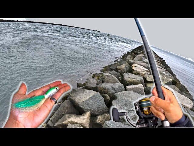 They're STILL HERE?? Cape Cod Canal LATE SEASON Striped Bass Fishing! How to Jig for Striped Bass