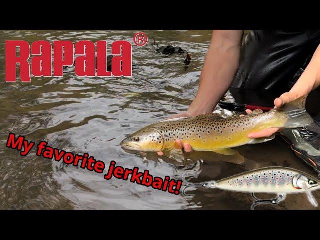 Rapala Countdown Elite SHOWCASE! | Jerkbait fishing for WILD trout! |