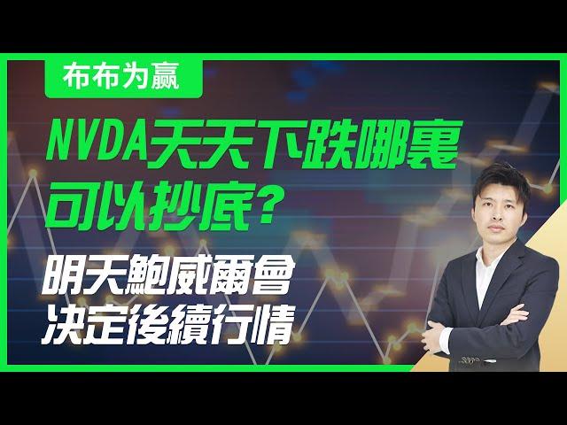 【布布为赢】NVDA天天下跌哪里可以抄底？t