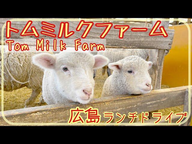 【広島ドライブ】トムミルクファームで動物とふれあい/ミルクジェラート [Drive in Japan] Tom Milk Farm in Hiroshima