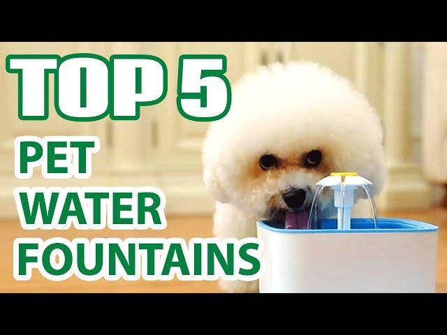 Top 5: Best Automatic Pet Drinking Fountains | Top Cat Water Fountains With Filter