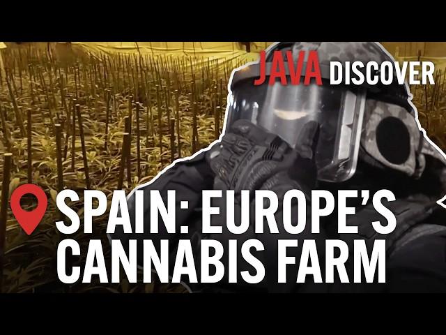 Spain's Marijuana Crisis: The Rise of Spain's Drug Smuggling Networks | Full Documentary