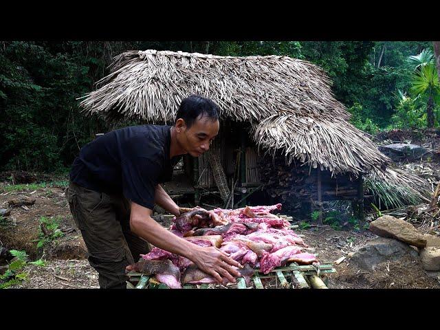 FULL VIDEO: How to trap a big wild boar to eat for a month