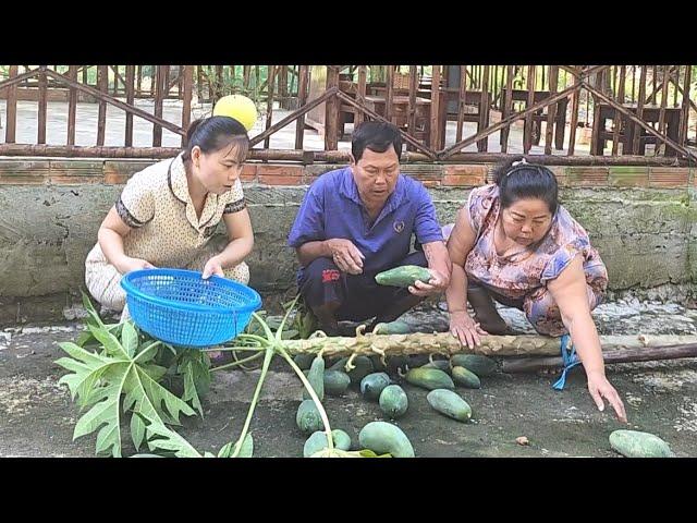 Hậu Quả Đắng Lòng Sau Mùa Mưa Bão Vô Tình Cả Nhà Có Được Món Ăn Ngon | BQCM & Family T864