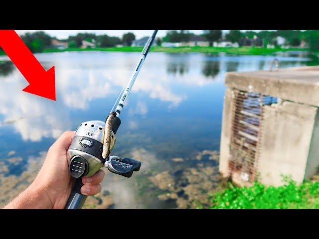 Fishing w/ ZEBCO 33 for GIANT Bass