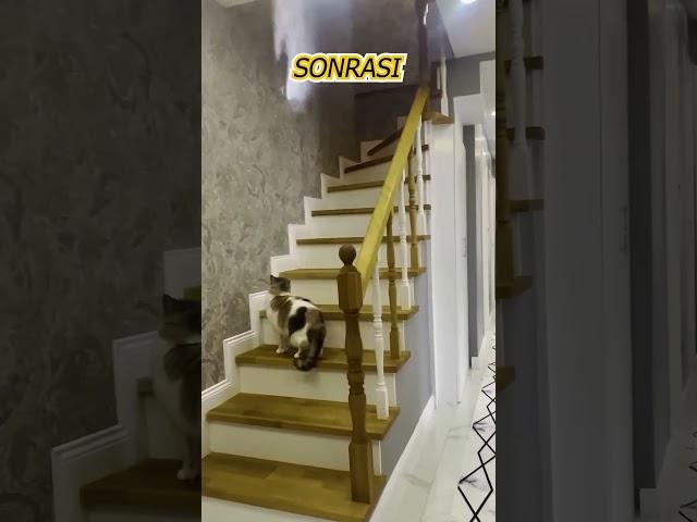Daire Girişinin Muhteşem Değişimi #interiordesign #tadilatdekorasyon #tadilat #evturuvlog #daireturu