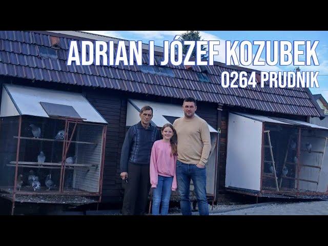 Adrian & Józef Kozubek - 0264 Prudnik | Progres hodowli i dwa razy Mistrzostwo Okręgu 2024! 