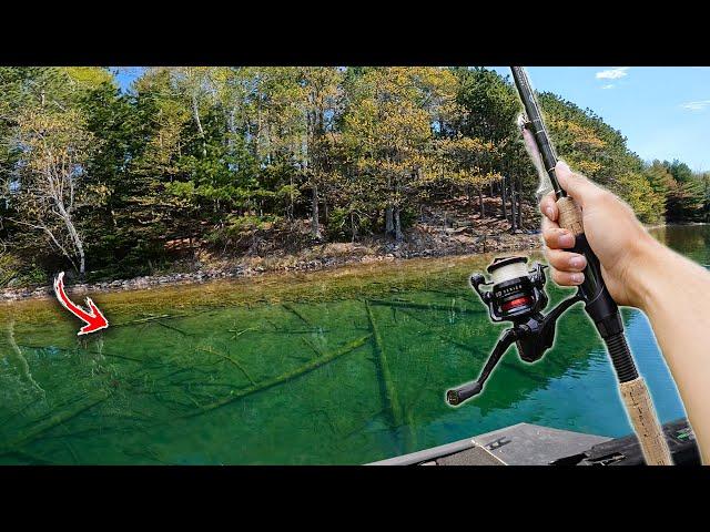 Fishing Crystal Clear Water for BIG Bass (INSANE)