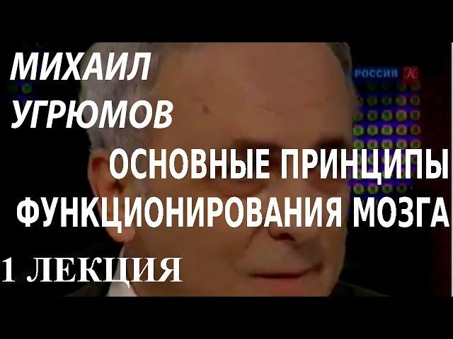 ACADEMIA. Михаил Угрюмов. Основные принципы функционирования мозга. 1 лекция. Канал Культура