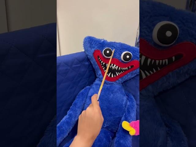 Eddie Wow Toys / Huggy Wuggy and Kissy Missy #huggywuggy #kissymissyvshuggywuggy
