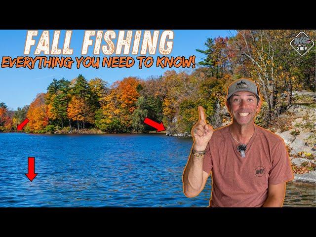 Mastering Fall Bass Fishing: Unlocking the Secrets of the 3 Stages!