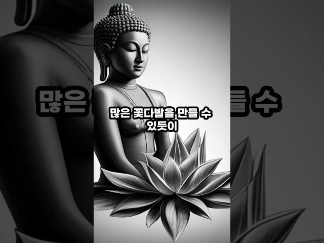 사람으로 태어났을 때 #부처님 #부처님말씀 #진리의말씀 #진리 #인생