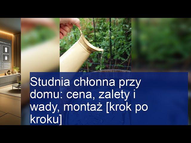 Studnia chłonna przy domu: cena, zalety i wady, montaż [krok po kroku]