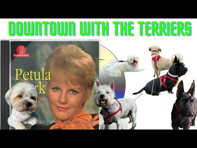 Downtown with Petula Clark & The Terriers | Thorpeman