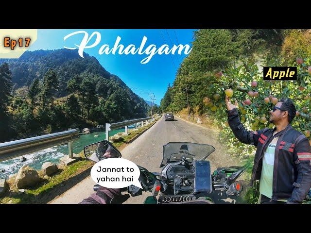 Srinagar to Pahalgam : The Heaven on Earth || Ep 17 Ranchi to Kashmir