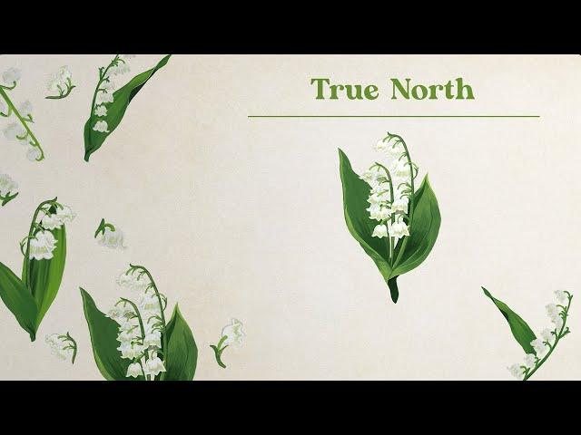 Caroline Spence - True North (Lyric Video)