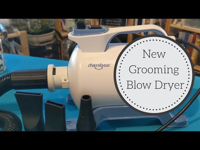 Groomer Gets a New Blow Dryer | Shernbao Single Motor Blow Dry Review